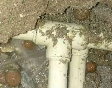 叶城测漏水多少钱