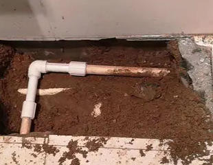 叶城测漏水哪家好