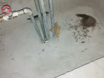 叶城卫生间测漏水价格明细