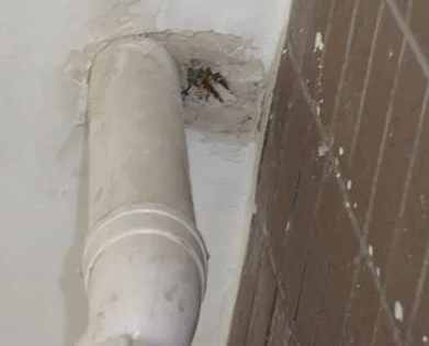 叶城漏水检测哪家好